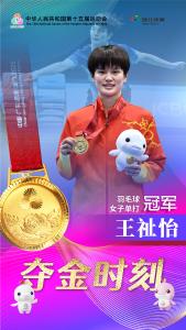 “荆州力量”闪耀十五运会赛场 为湖北队夺得3金3银2铜