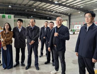 省人大常委会调研组来荆调研就业创业有关工作