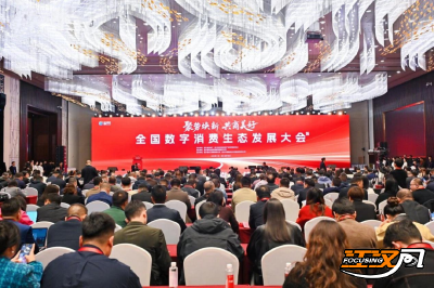 江陵携手川企，开拓数字消费新格局