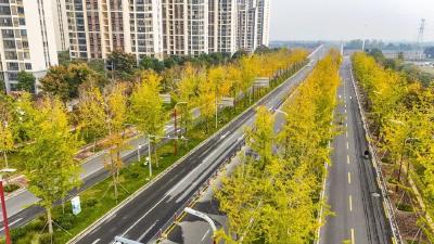 今天12时04分，正式进入……