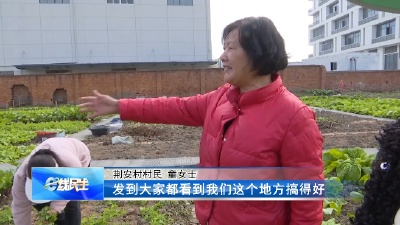 e线民生 | 荆州区郢城镇：闲置空地多元改造 环境整治成效亮眼