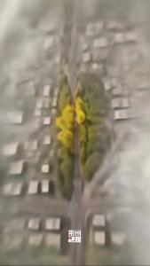 传下去！本周日人民路有大事发生！