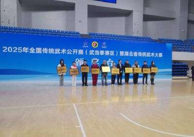 沙市武术健儿狂揽7金11银8铜