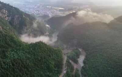 绿蓝红金晕染生态之魂