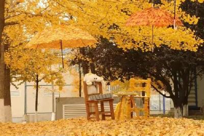 【趣游古城】本周末，“杏”会荆州！