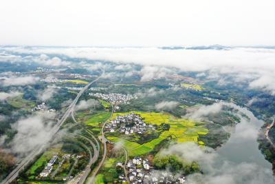 “人鸟共生”绘就幸福图景
