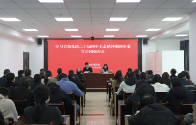 学习贯彻党的二十届四中全会精神市委宣讲团市政府国资委宣讲报告会举行