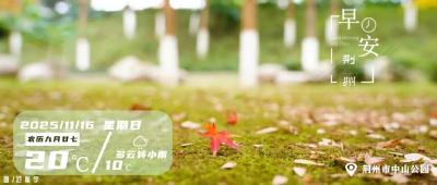 早安·荆州丨“杏运人民路” 今天启动！