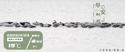 早安·荆州丨火炬在荆州传递