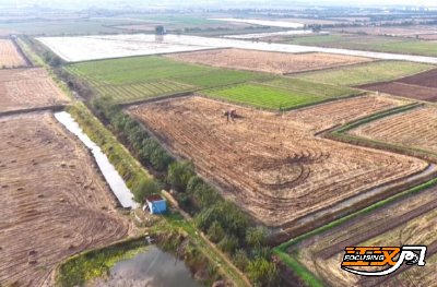 江陵县沙岗镇：让秸秆“离田有法、利用有门”