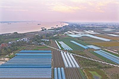 回馈反哺、守江护江——沃野平畴万象新