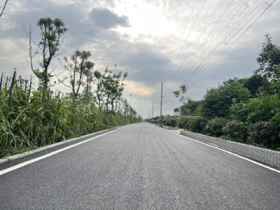 代表行动 | 荆州区马山镇人大：代表为民履职 助力打通乡村快车道