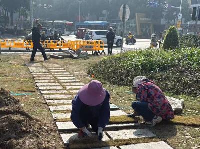抢抓晴好天气：沙市城管高效开展绿化补植行动​ 