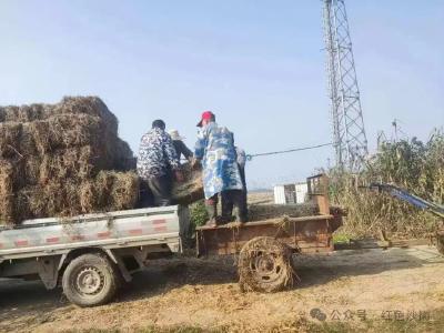 江陵县沙岗镇：以草为媒兴产业 以工代赈促增收