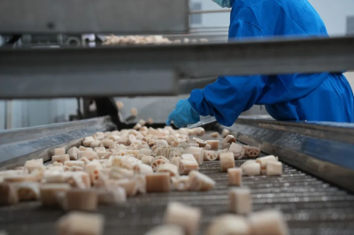 科技赋能，“莲”通新未来！