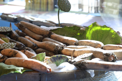 来洪湖，“藕”遇千年秋色！