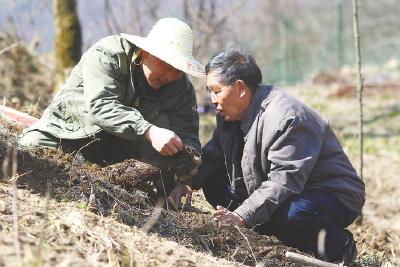 送别罗官章：最后的38.83元