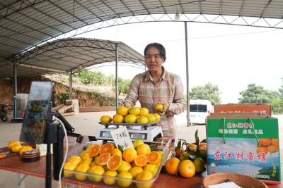 橘子红了，湖更清了