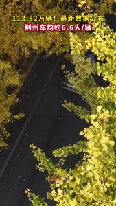 最新数据公布：荆州车均约6.6人/辆