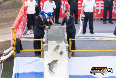 省级示范项目！看石首法院如何守护麋鹿归乡路 