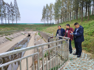 荆州区审计局：以“三大行动”为抓手  促进审计工作提质增效