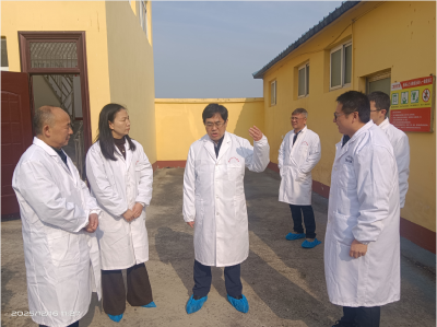 湖北省农业农村厅党组成员、总经济师曾德云到荆州调研指导鸡蛋兽药残留超标问题整治工作