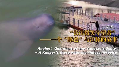 安庆：“长江微笑守望者”——一个“豚爸”与江豚的故事