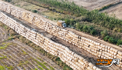 荆州江陵：12万吨“生态包袱”变“绿色银行”
