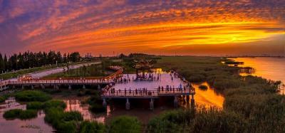 风吹芦苇起，江村换新衣