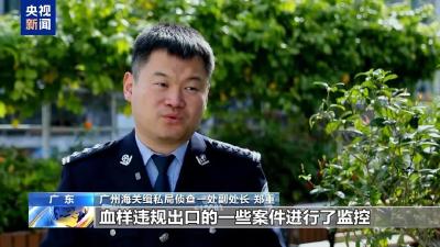 触目惊心！超10万人份孕妇血样被走私出境，涉全国23省份