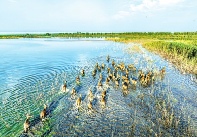 绿色崛起美荆江