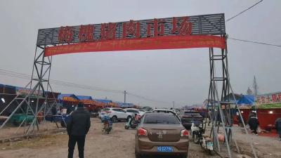 日售可达600头！荆州一猪肉市场正式开业！