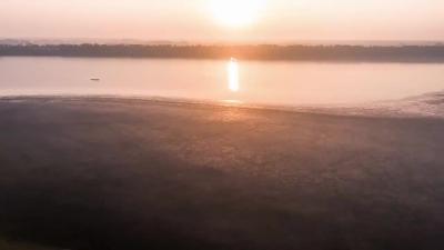 向野而生：中国麋鹿40年种群复兴的传奇