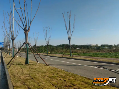 【办实事 在行动】荆州经开区：“建、划、改”3820个车位 缓解园区企业员工“停车难”