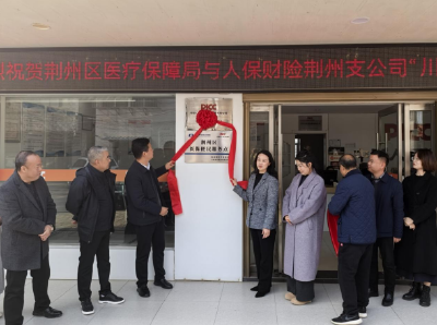 荆州区7个医保便民服务点正式挂牌启用