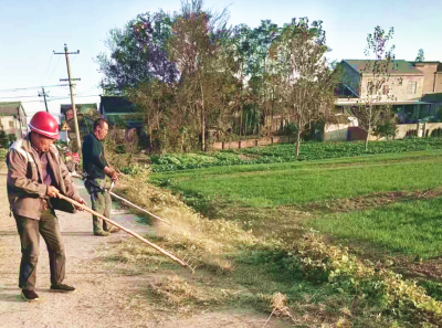 松滋市八宝镇：干群同心齐发力 洁村行动焕新颜