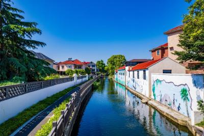 竹林焕彩 碧水兴村