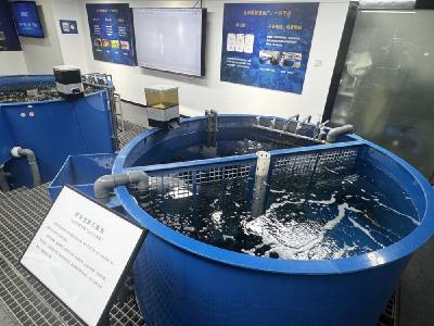 武汉智慧农业激发“绿色动能”