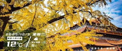 早安·荆州丨荆州约每6.6人拥有一辆车