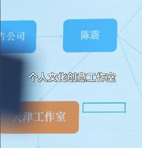 官方公布陈震偷税案细节