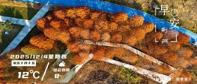 早安·荆州丨收官！荆州突破19.3亿元