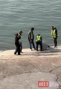 女子在长江边溺水，荆州4名轮渡安全员接力救人