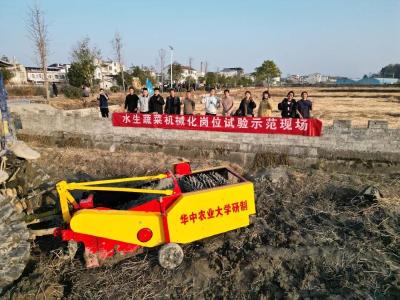 破题采收难 石首智造“荸荠铁牛”向新而行 