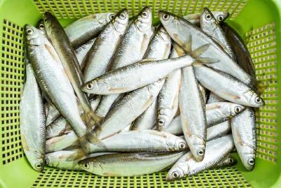 它，是半部荆州人的情结