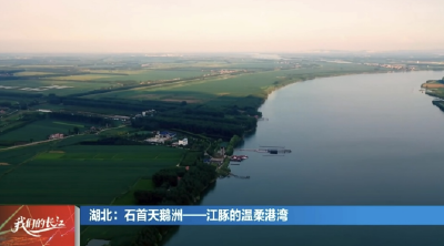 石首江豚亮相八省市长江禁渔期中答卷直播 三十载守护成就全球唯一迁地保护种群