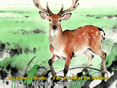 长江珍稀物种的生命回响