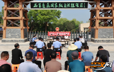 荆州：平安花开别样红