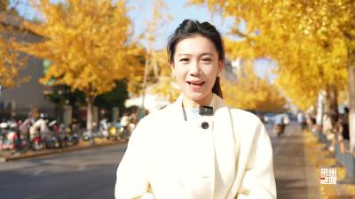 走，去人民路看银杏！