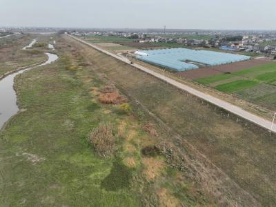 松滋：固“长堤”，除“蚁患”，护安澜