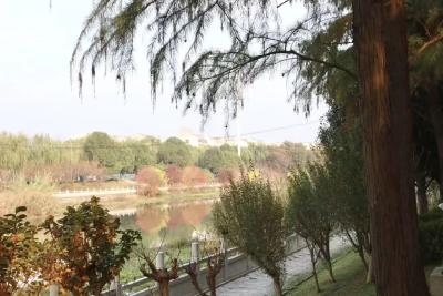 荆州护城河焕新记：从“望河却步”到“沿堤漫步”